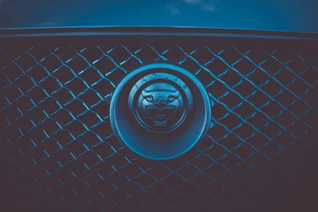 Cleopatra Kasino Android/iOS aplikace